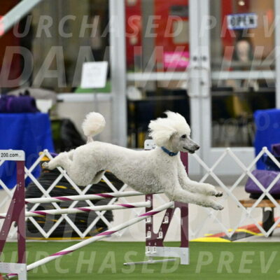 MAS-EX-JWW-20-Inch_2705