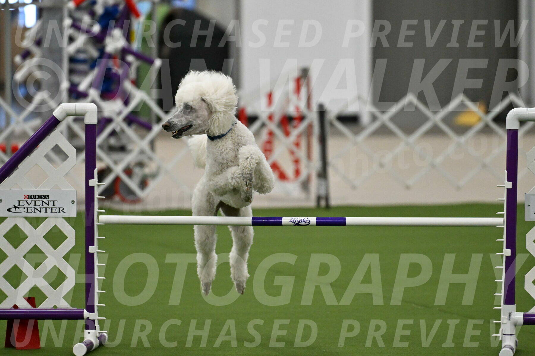 MAS-EX-JWW-20-Inch_2712