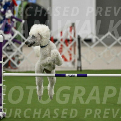 MAS-EX-JWW-20-Inch_2712