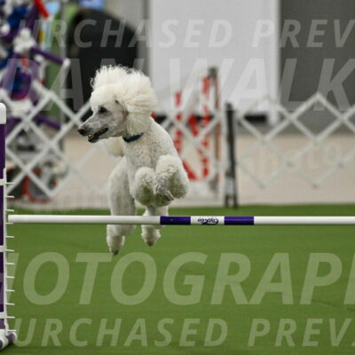 MAS-EX-JWW-20-Inch_2713