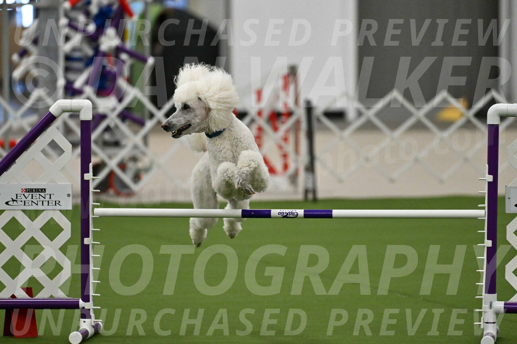 MAS-EX-JWW-20-Inch_2713