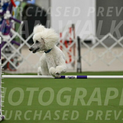 MAS-EX-JWW-20-Inch_2714