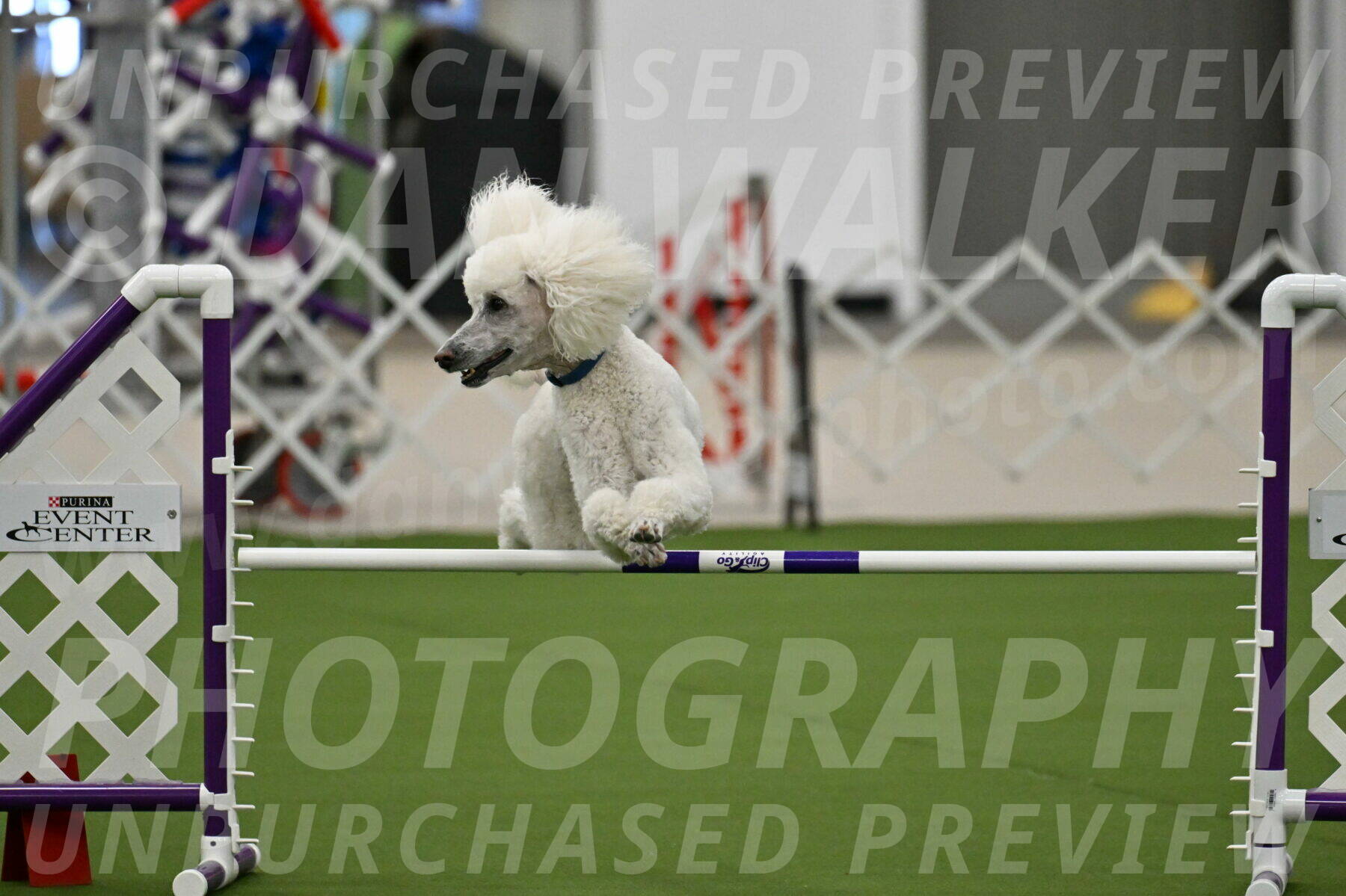 MAS-EX-JWW-20-Inch_2714