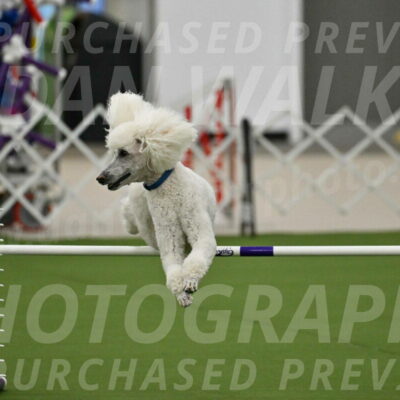 MAS-EX-JWW-20-Inch_2715