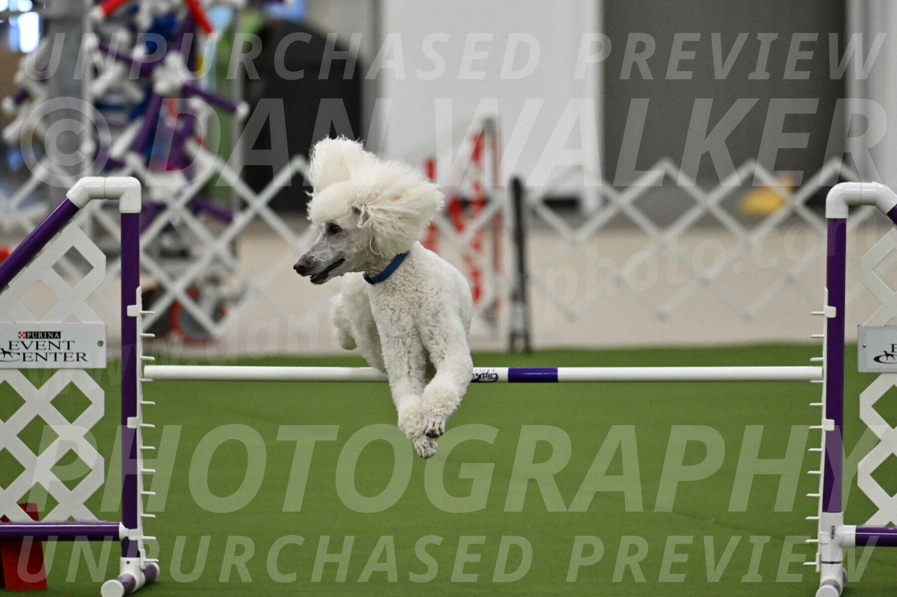 MAS-EX-JWW-20-Inch_2715