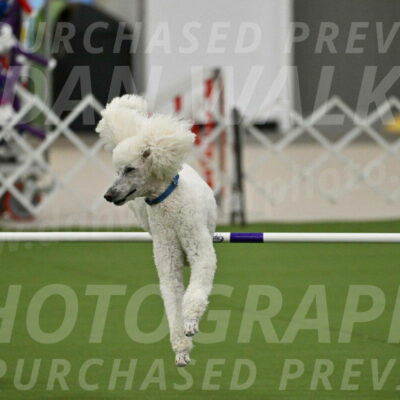 MAS-EX-JWW-20-Inch_2716