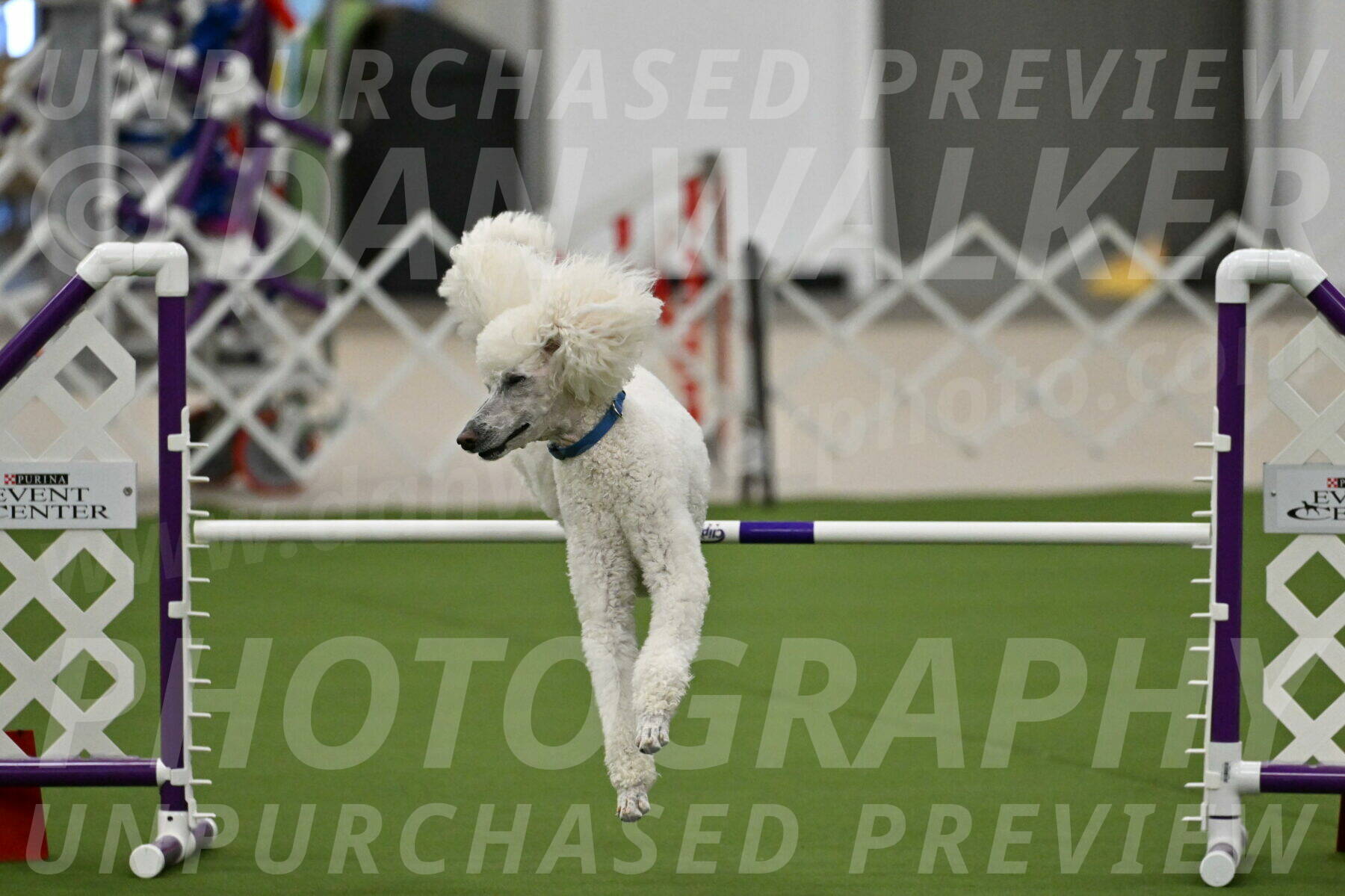 MAS-EX-JWW-20-Inch_2716