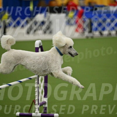 MAS-EX-JWW-20-Inch_2722