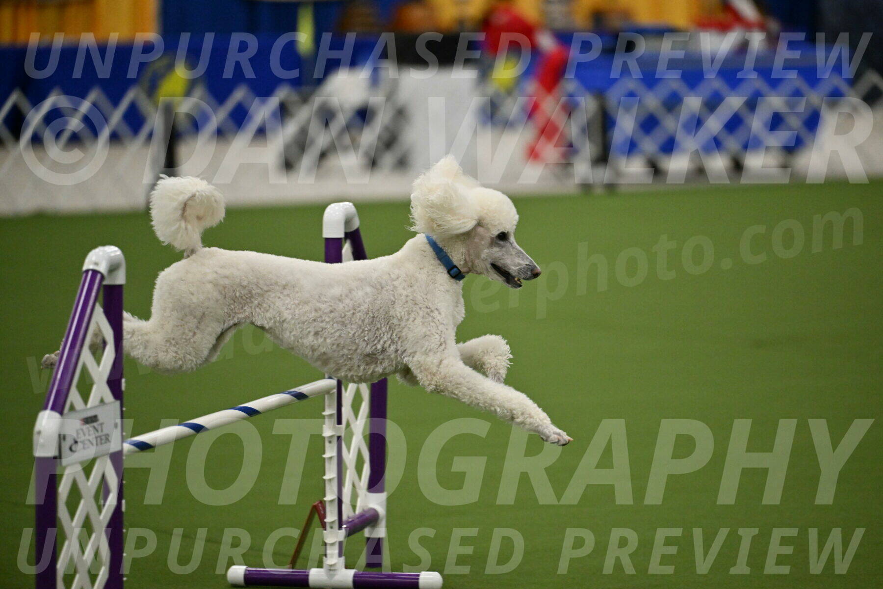 MAS-EX-JWW-20-Inch_2722