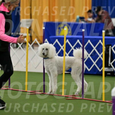 MAS-EX-JWW-20-Inch_2724