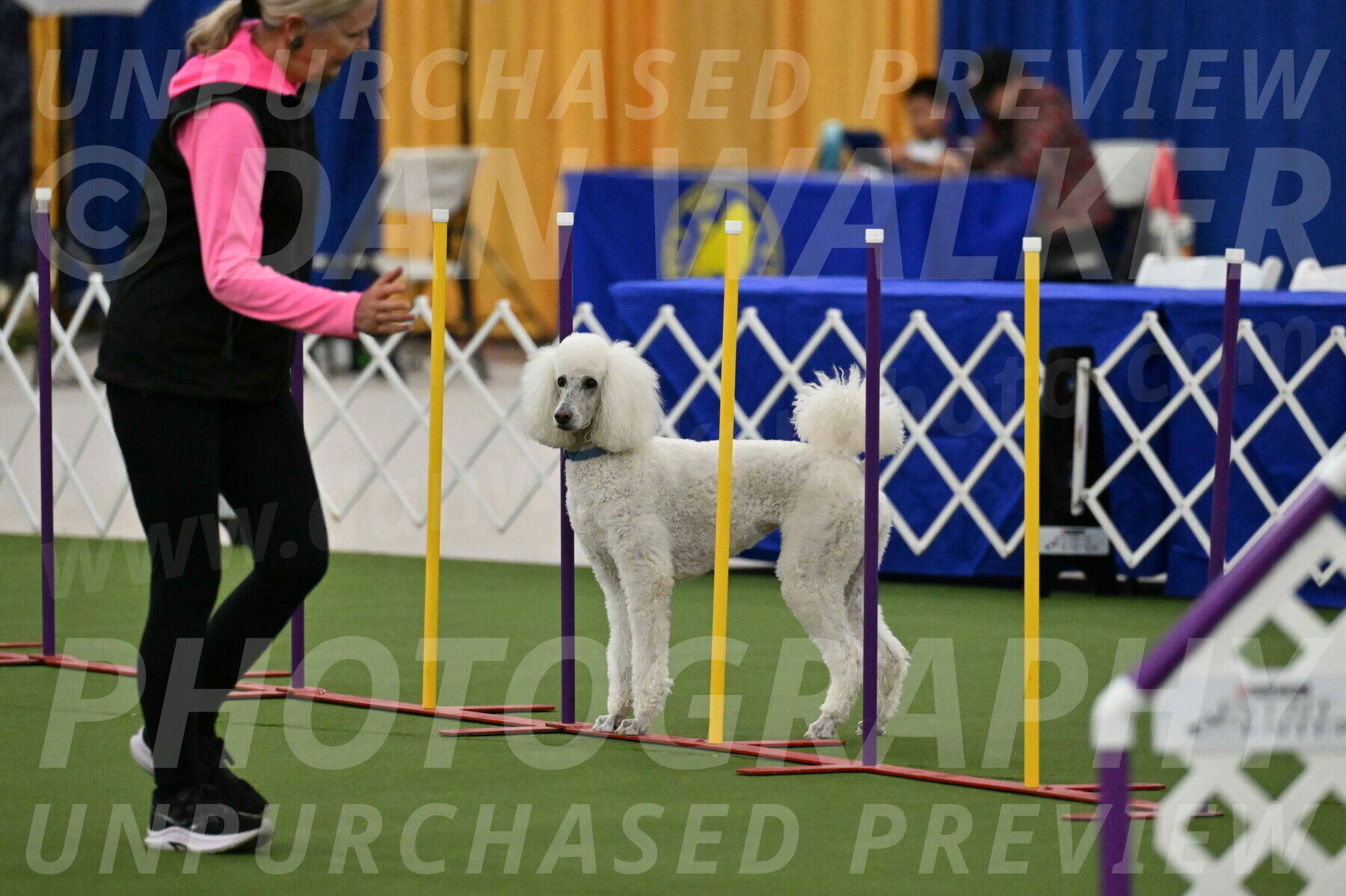 MAS-EX-JWW-20-Inch_2724