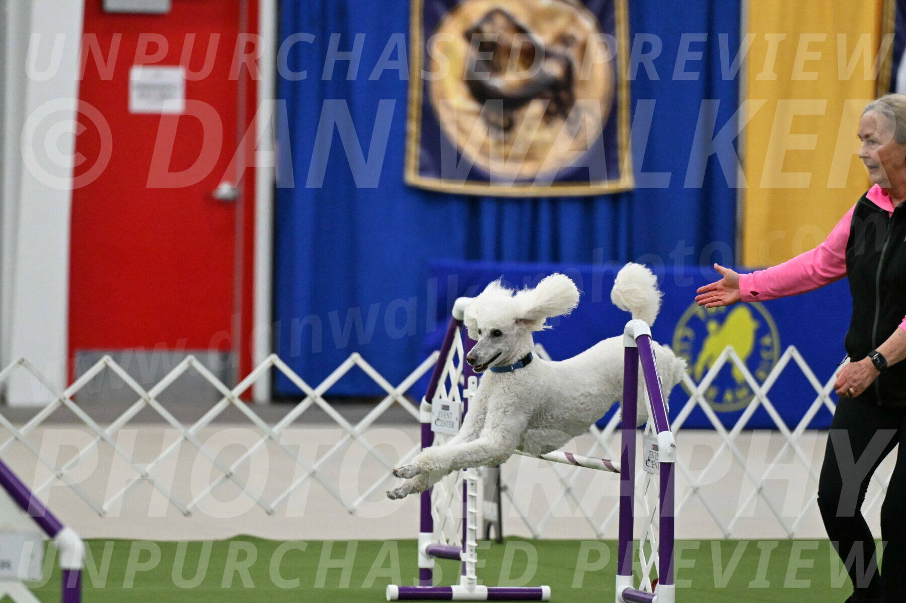 MAS-EX-JWW-20-Inch_2727