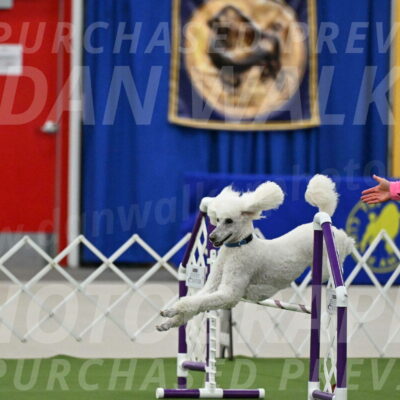 MAS-EX-JWW-20-Inch_2727