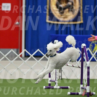 MAS-EX-JWW-20-Inch_2728