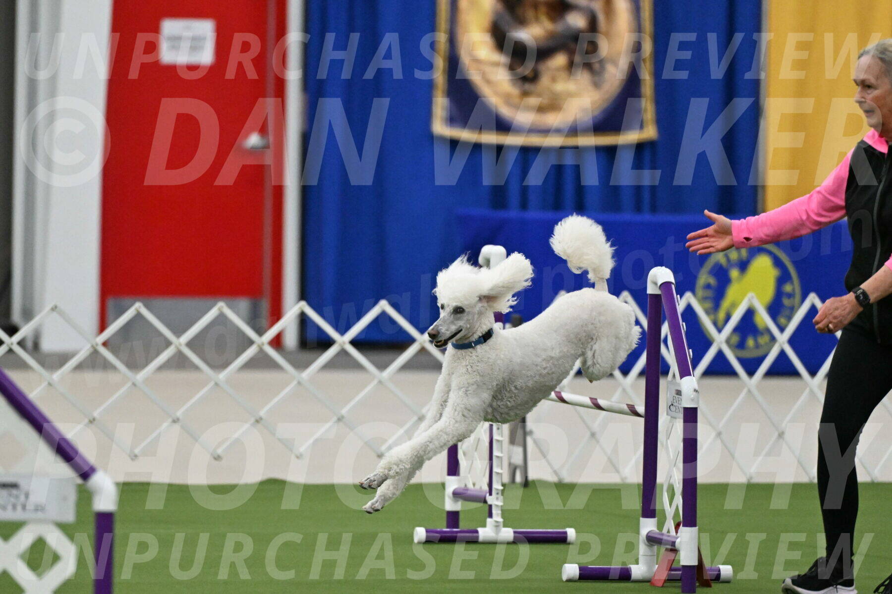 MAS-EX-JWW-20-Inch_2728