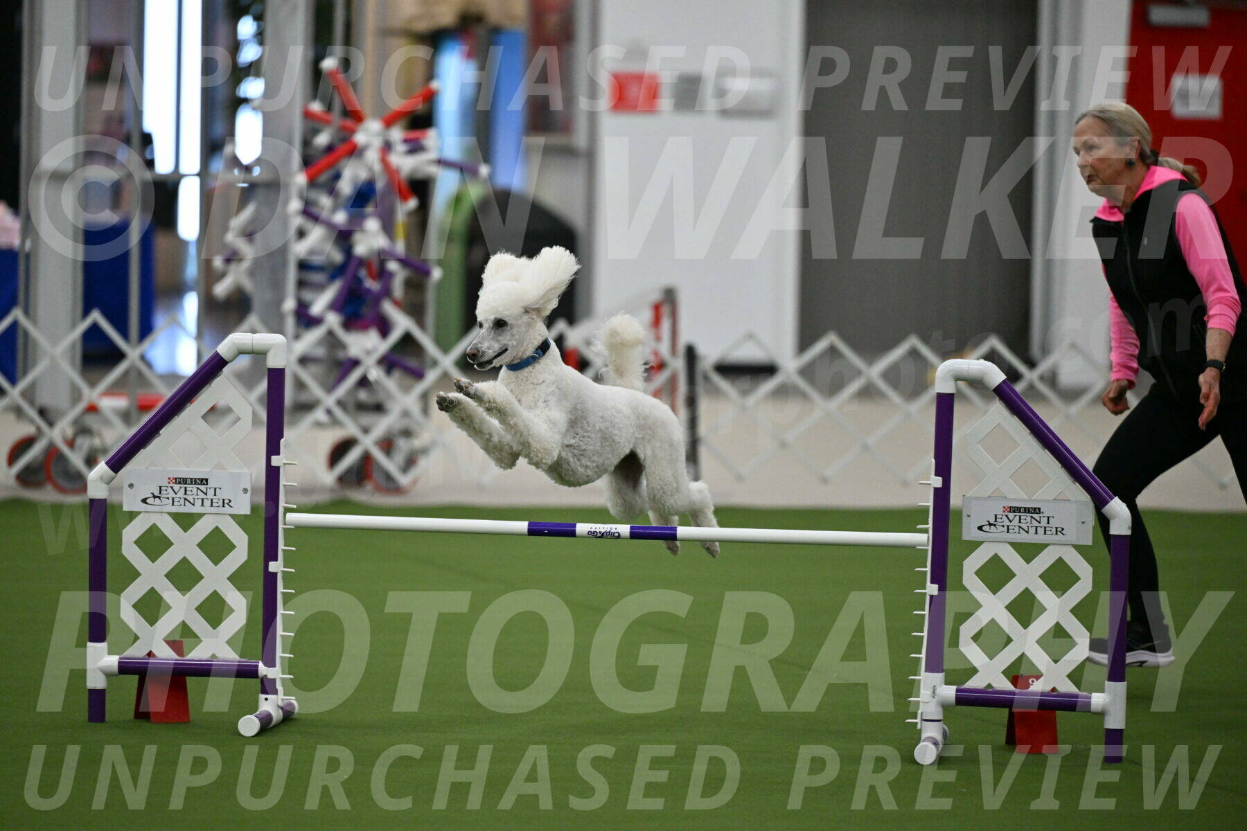 MAS-EX-JWW-20-Inch_2731