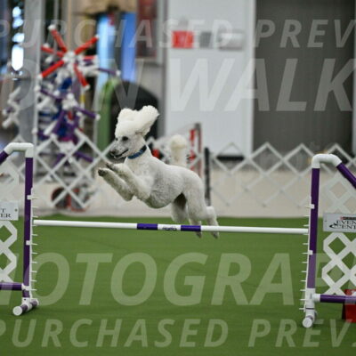 MAS-EX-JWW-20-Inch_2731