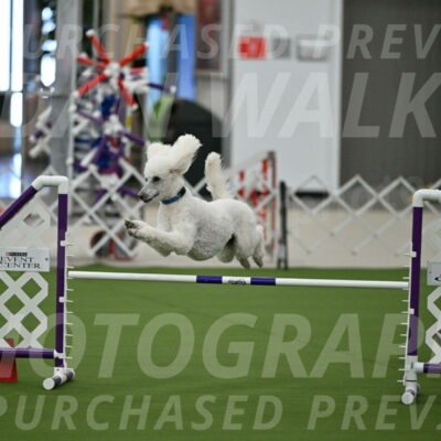 MAS-EX-JWW-20-Inch_2732