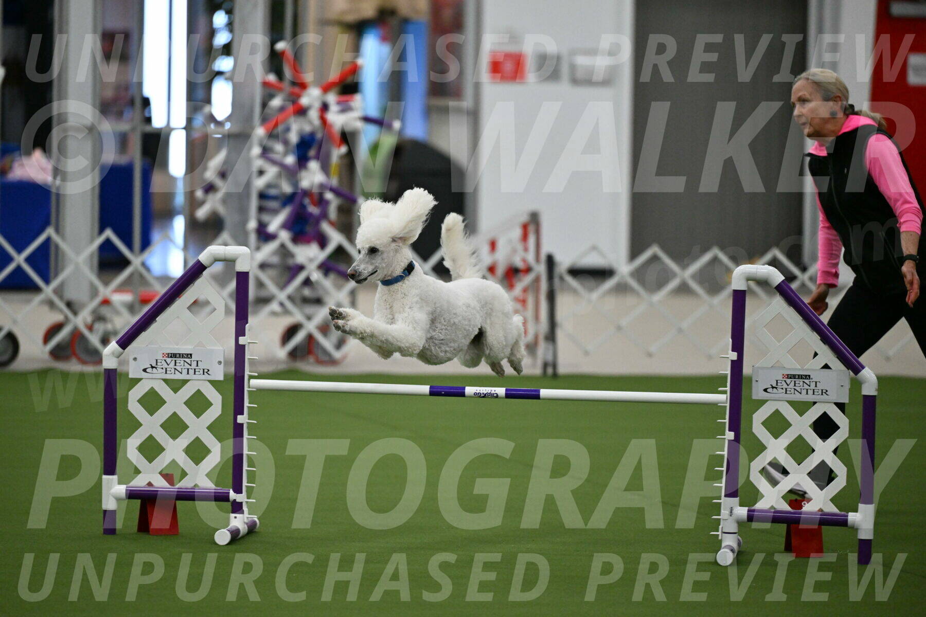 MAS-EX-JWW-20-Inch_2732