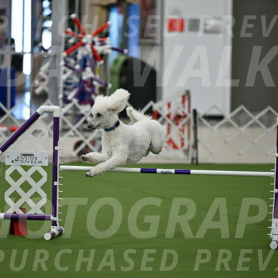 MAS-EX-JWW-20-Inch_2733