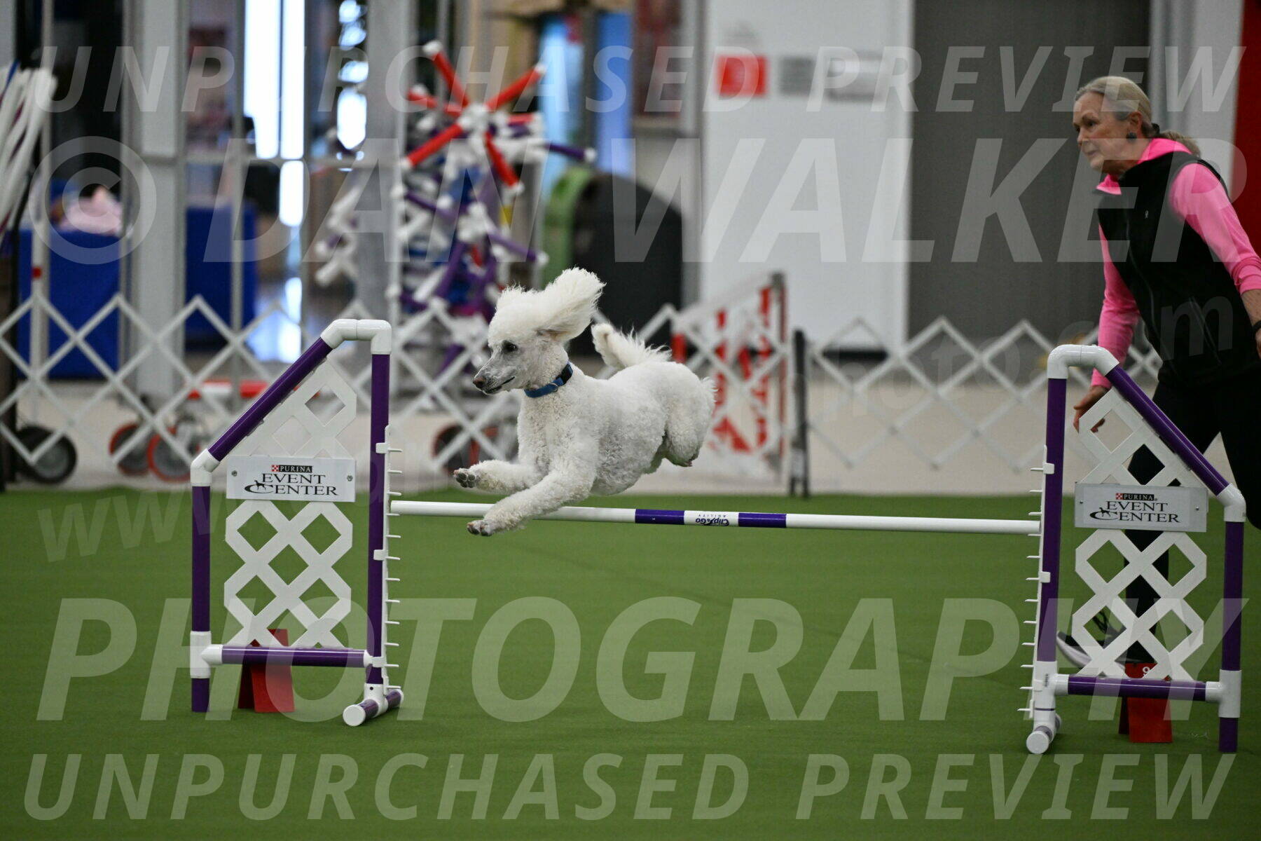 MAS-EX-JWW-20-Inch_2733