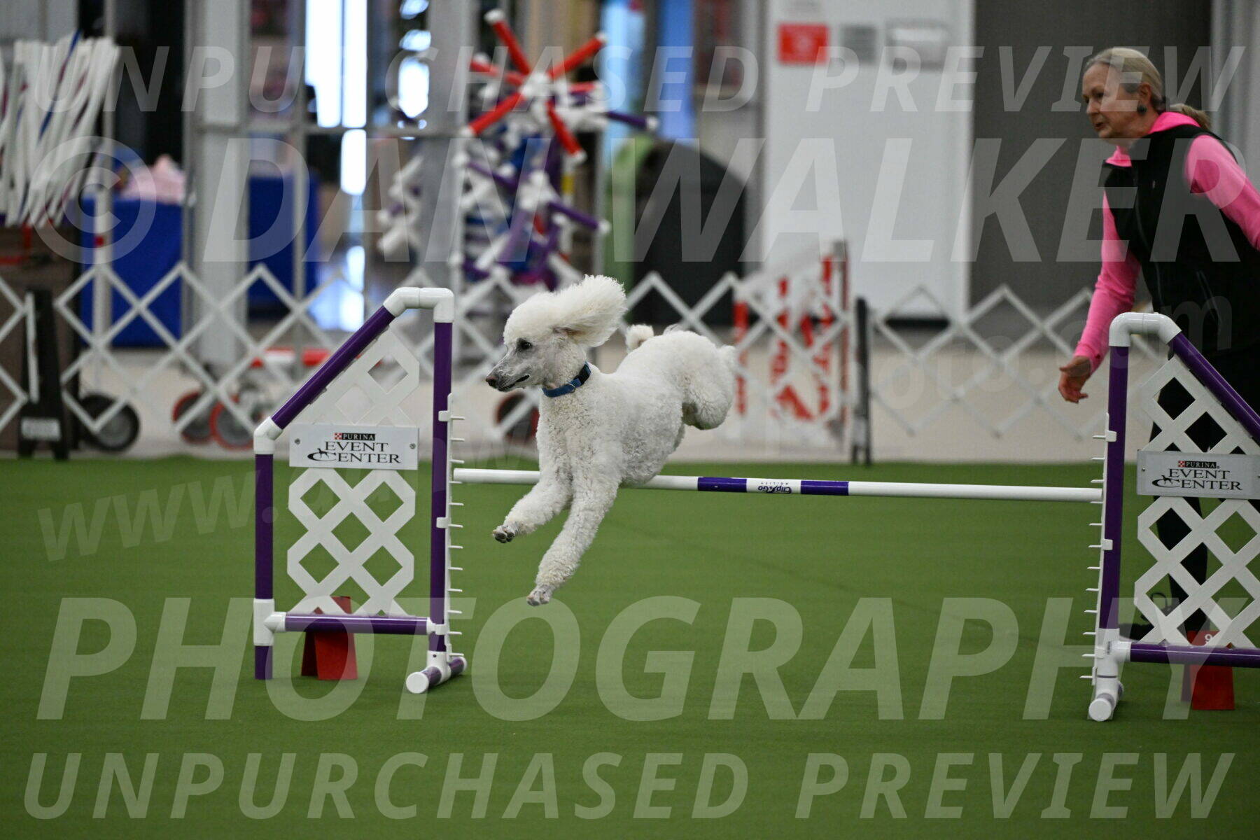 MAS-EX-JWW-20-Inch_2734