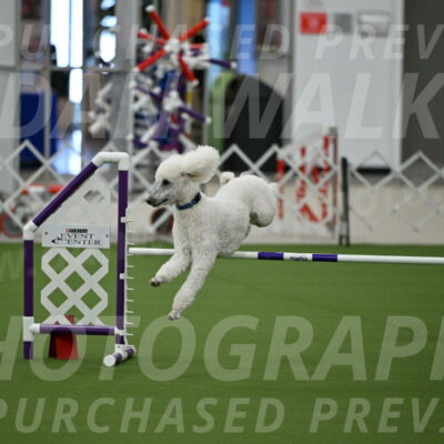 MAS-EX-JWW-20-Inch_2734