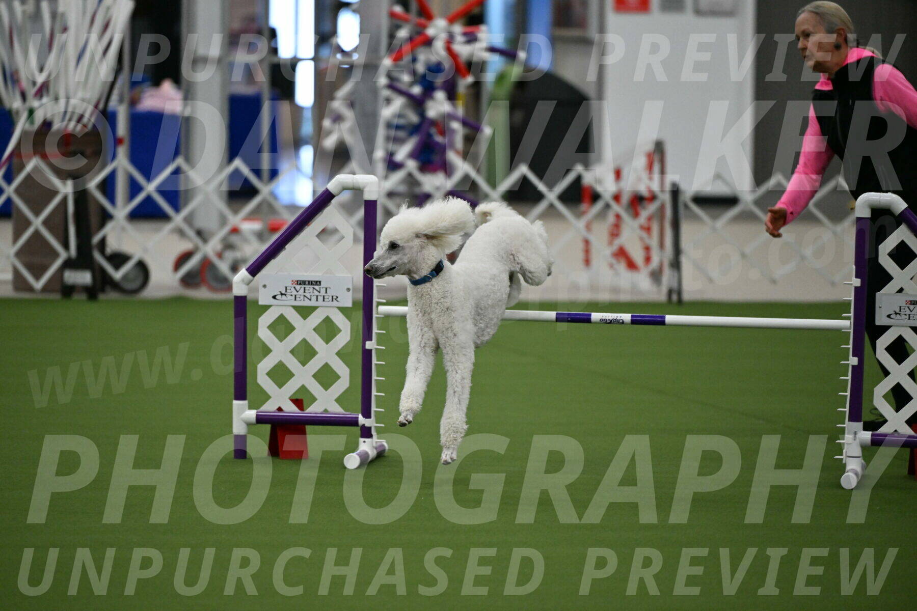 MAS-EX-JWW-20-Inch_2735