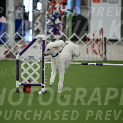 MAS-EX-JWW-20-Inch_2735