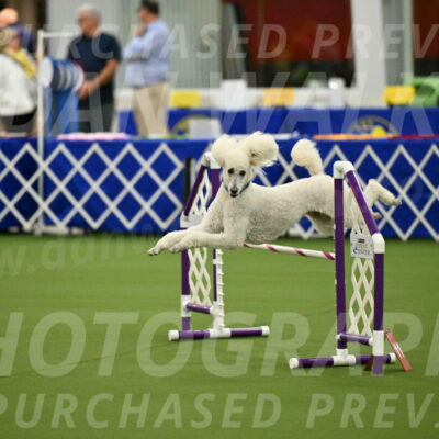 MAS-EX-JWW-20-Inch_2737