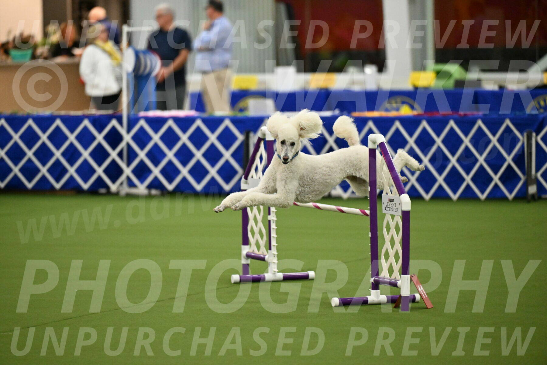 MAS-EX-JWW-20-Inch_2737