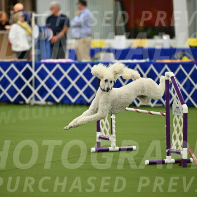 MAS-EX-JWW-20-Inch_2738