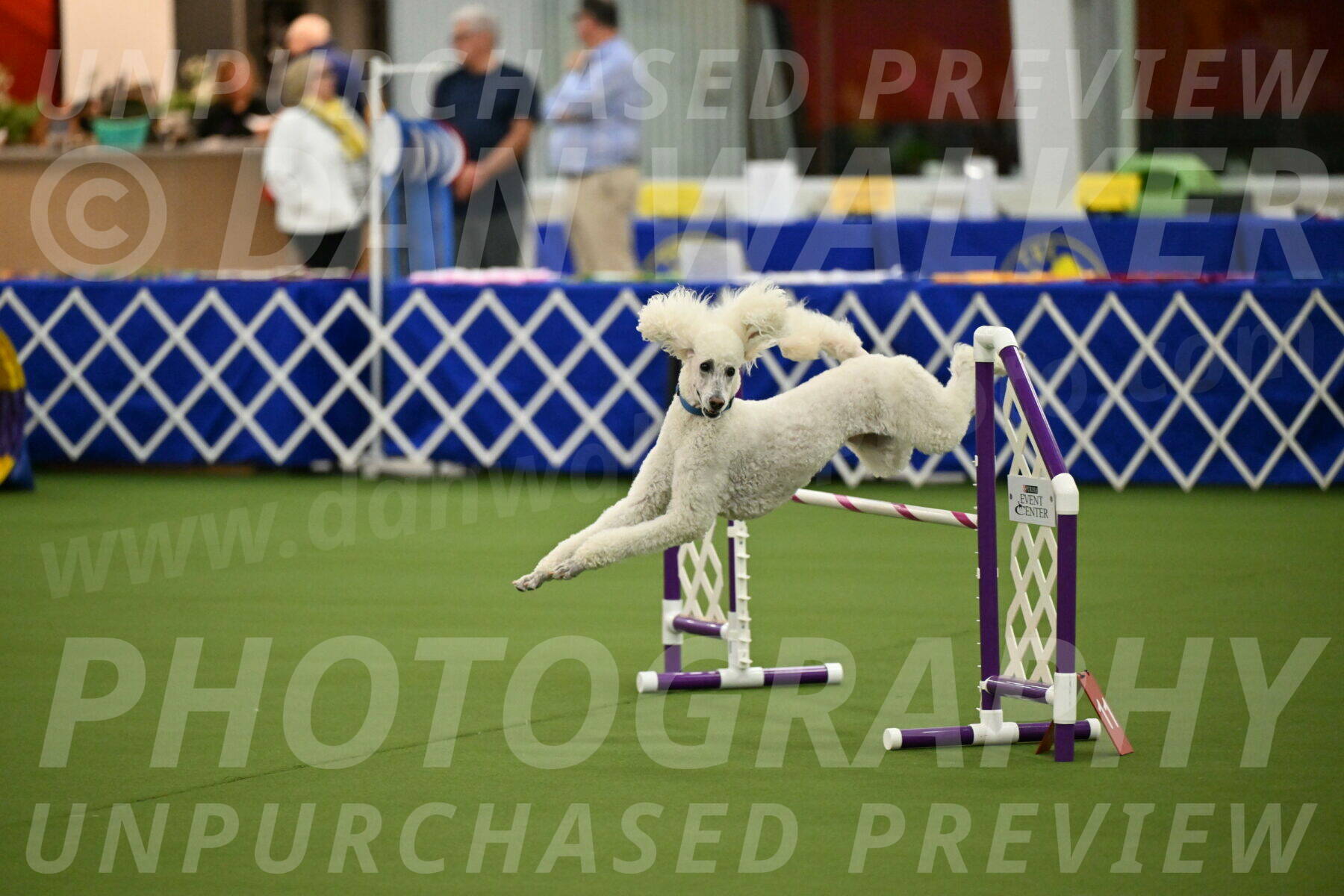 MAS-EX-JWW-20-Inch_2738