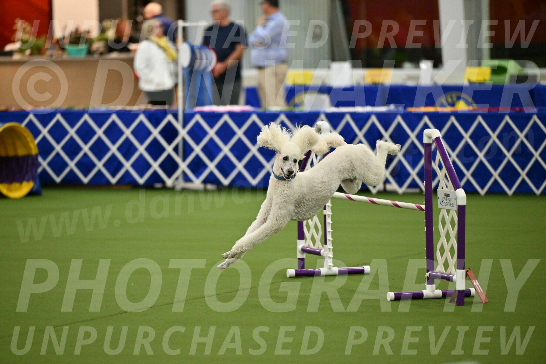 MAS-EX-JWW-20-Inch_2739