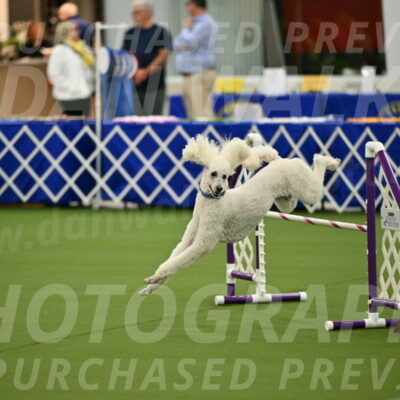 MAS-EX-JWW-20-Inch_2739