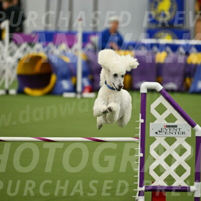 MAS-EX-JWW-20-Inch_2740