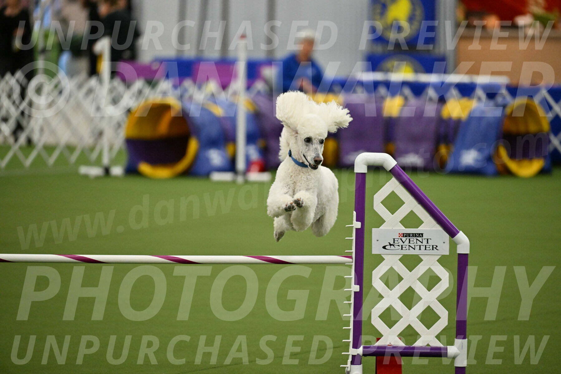 MAS-EX-JWW-20-Inch_2740