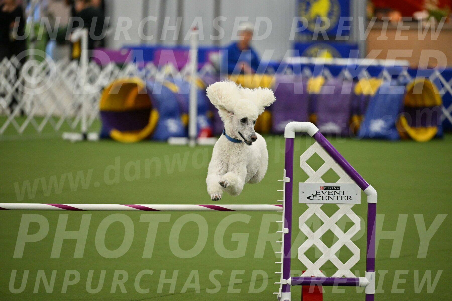 MAS-EX-JWW-20-Inch_2741