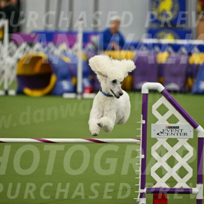 MAS-EX-JWW-20-Inch_2741