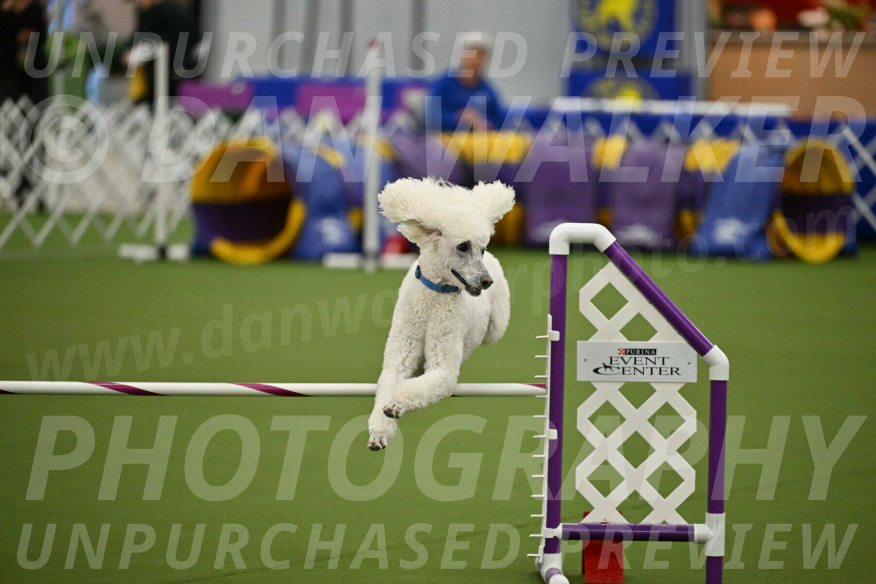 MAS-EX-JWW-20-Inch_2742