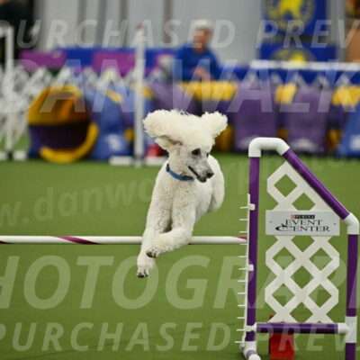 MAS-EX-JWW-20-Inch_2742