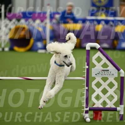 MAS-EX-JWW-20-Inch_2743