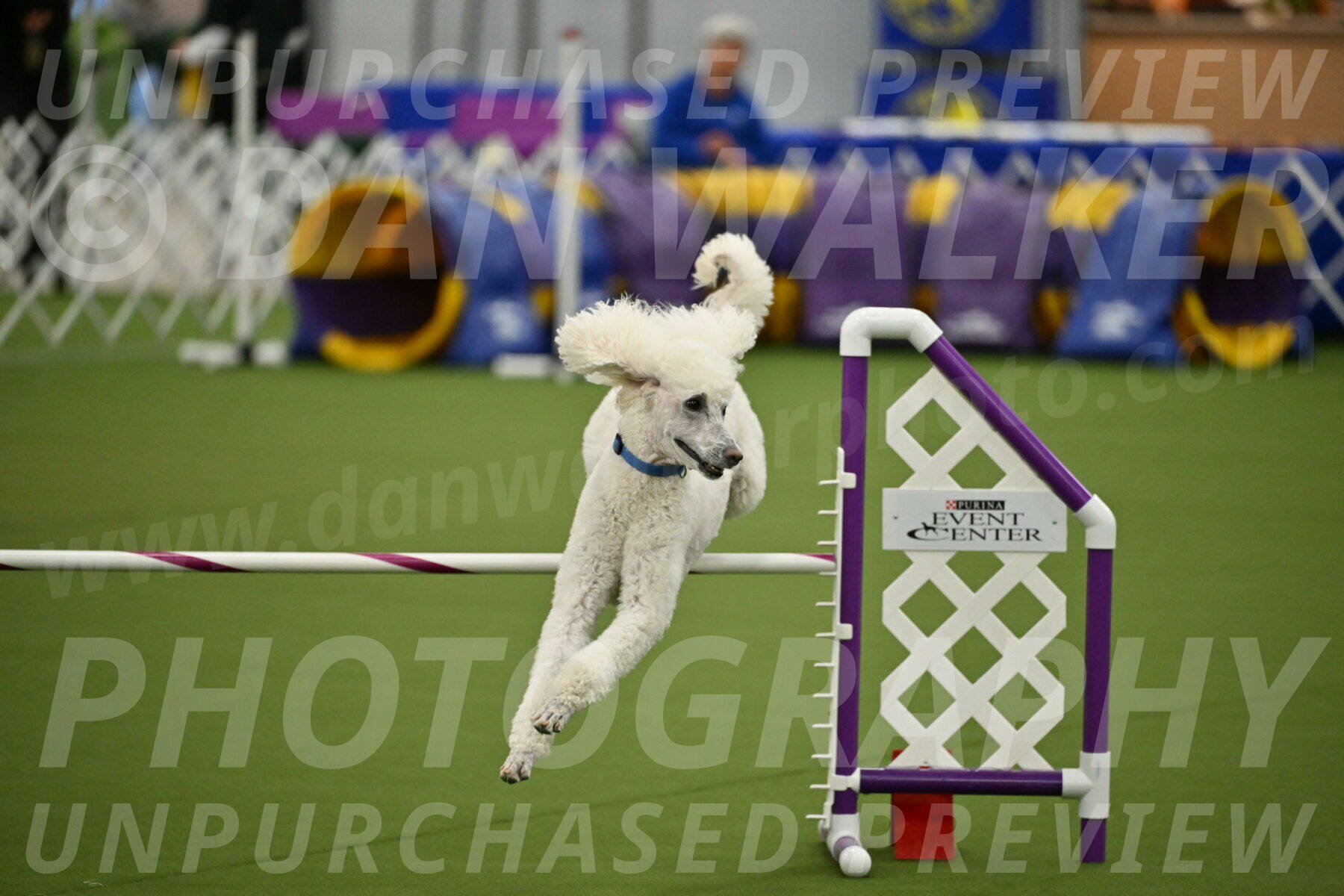 MAS-EX-JWW-20-Inch_2743