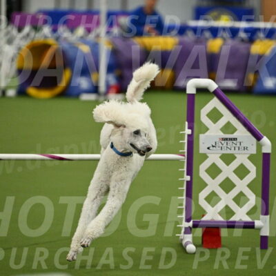 MAS-EX-JWW-20-Inch_2744