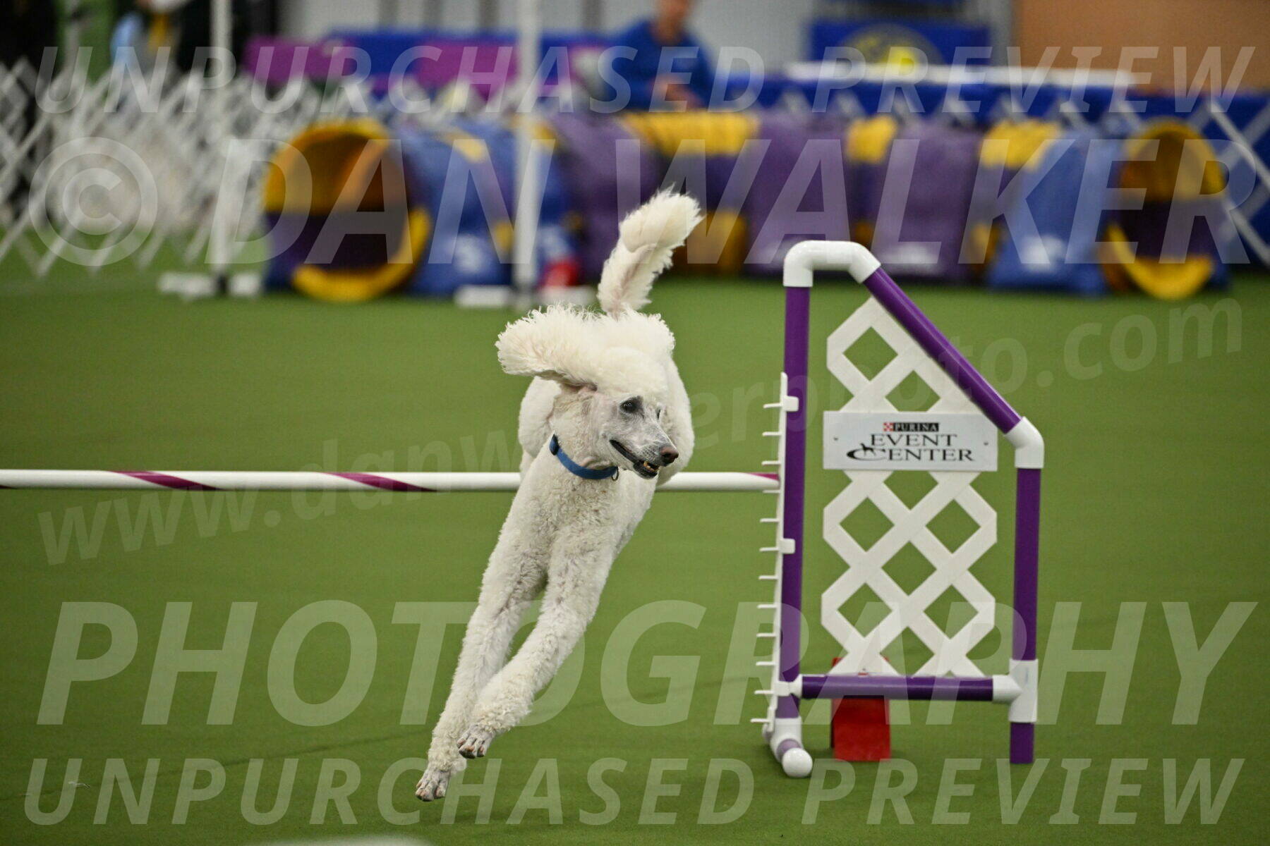 MAS-EX-JWW-20-Inch_2744