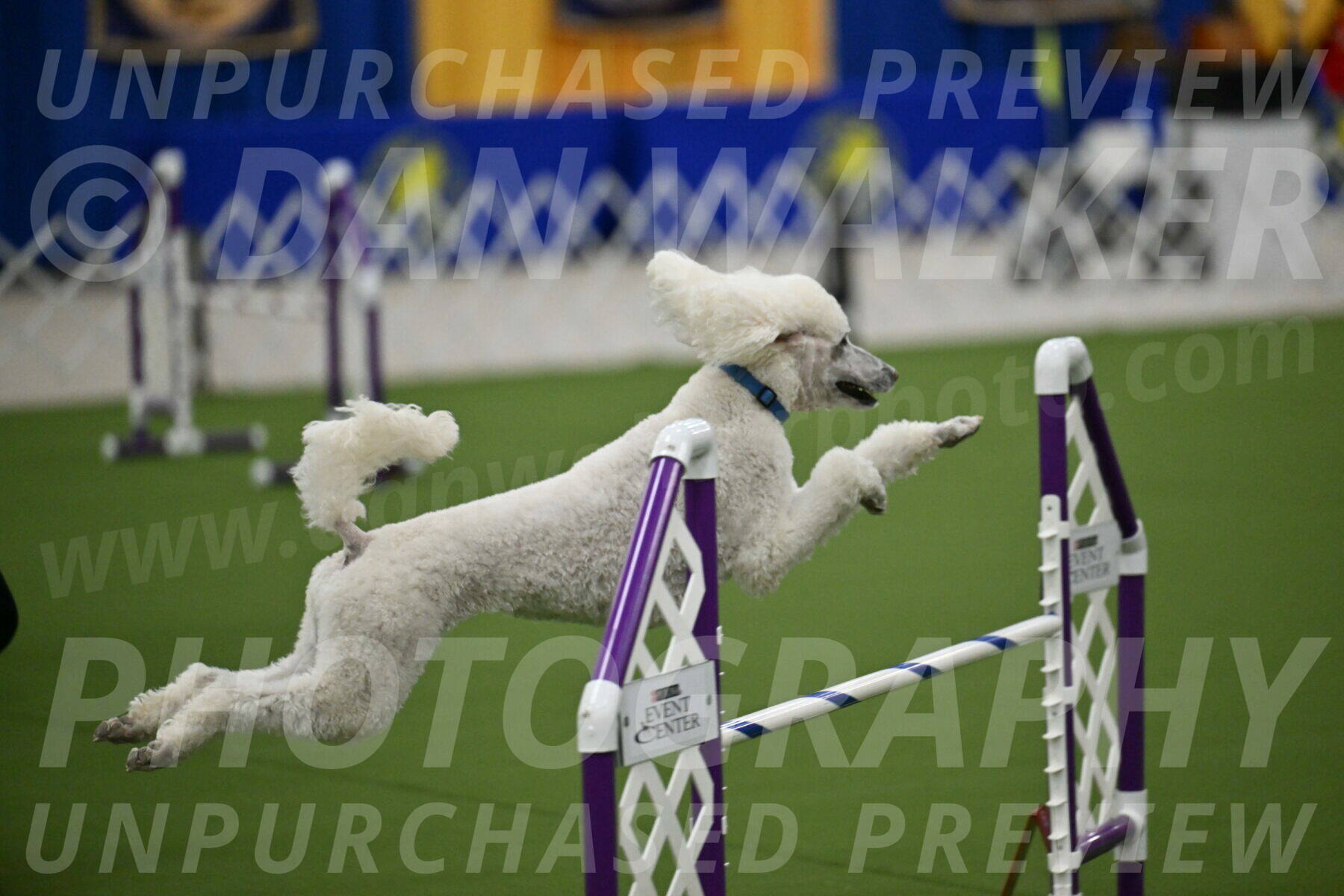 MAS-EX-JWW-20-Inch_2749