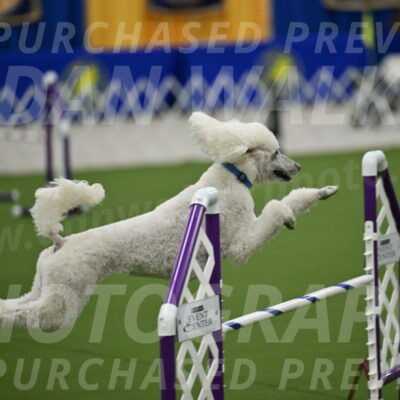 MAS-EX-JWW-20-Inch_2749