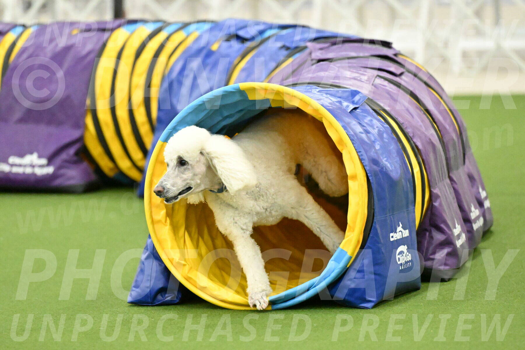 MAS-EX-JWW-20-Inch_2754