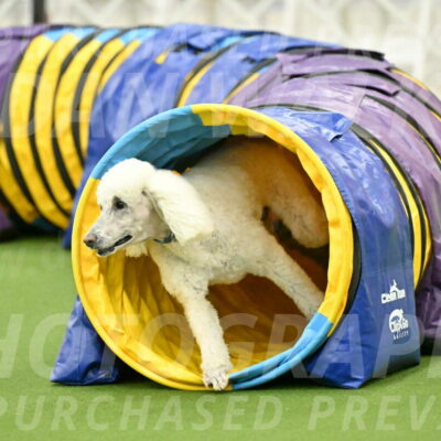 MAS-EX-JWW-20-Inch_2754