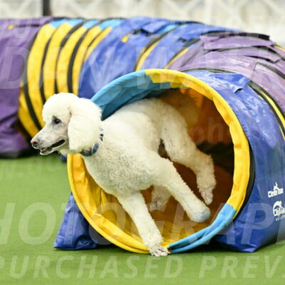 MAS-EX-JWW-20-Inch_2755